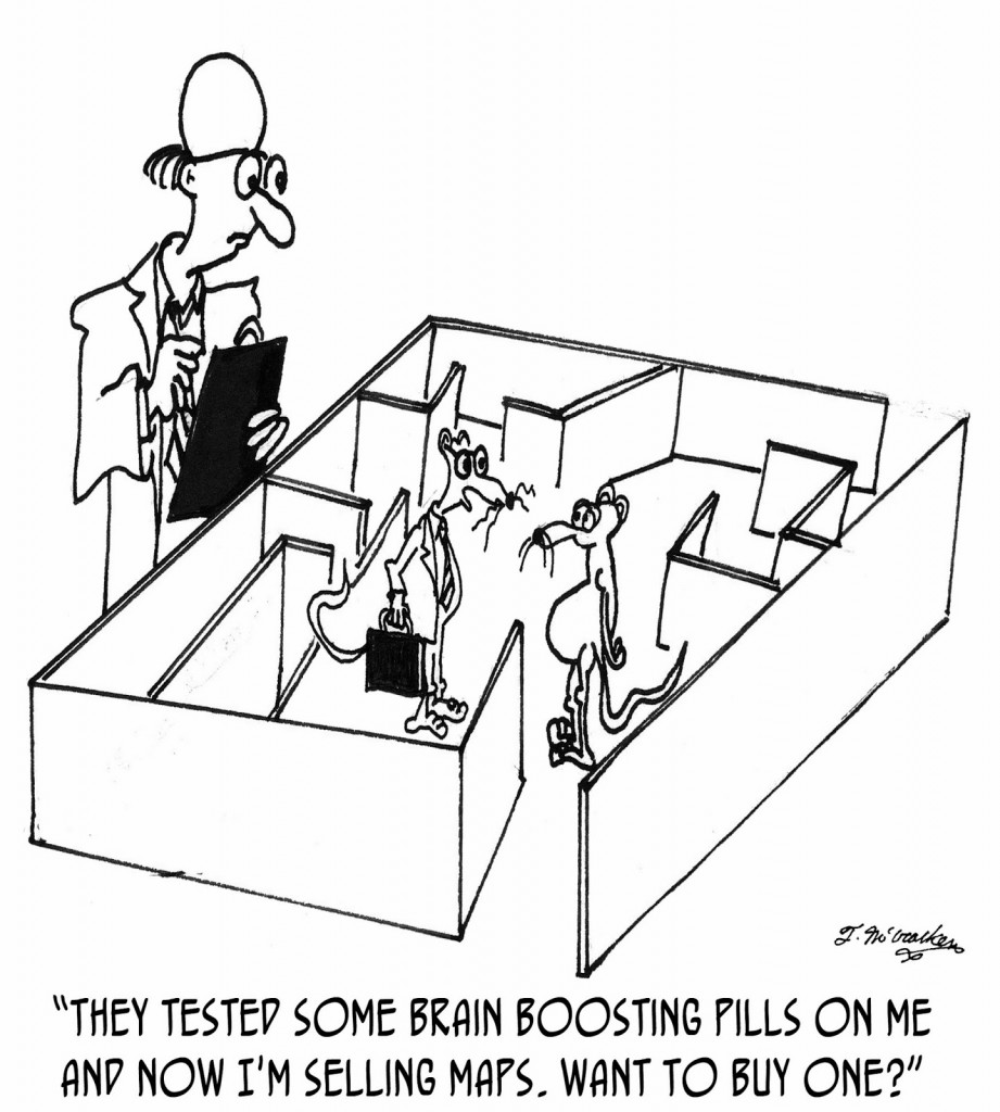 Bishop blogs on educational neuroscience, cartoon by Dorothy Bishop blogs on educational neuroscience, cartoon by Dorothy