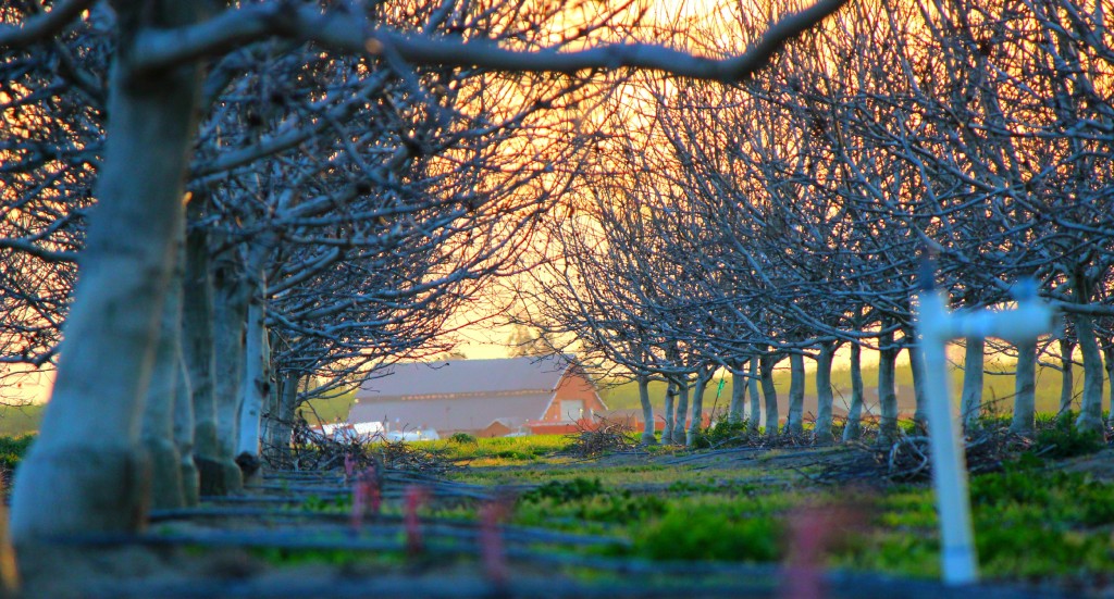 image source : picjumbo.com