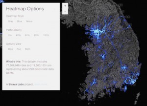 Strava activity maps_Korea