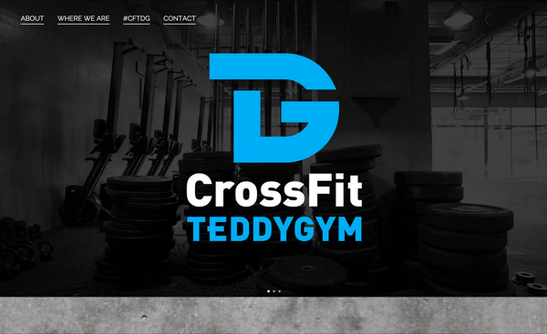 CrossFit TEDDYGYM