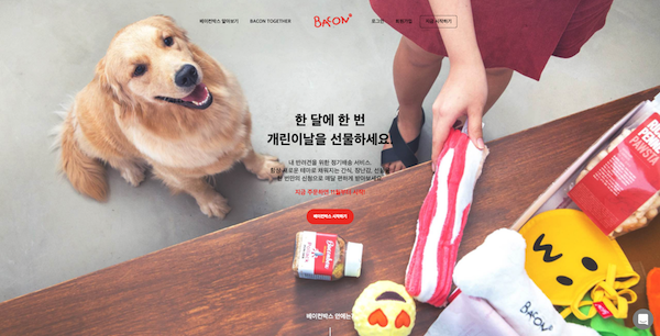 BACON BOX 베이컨 박스
